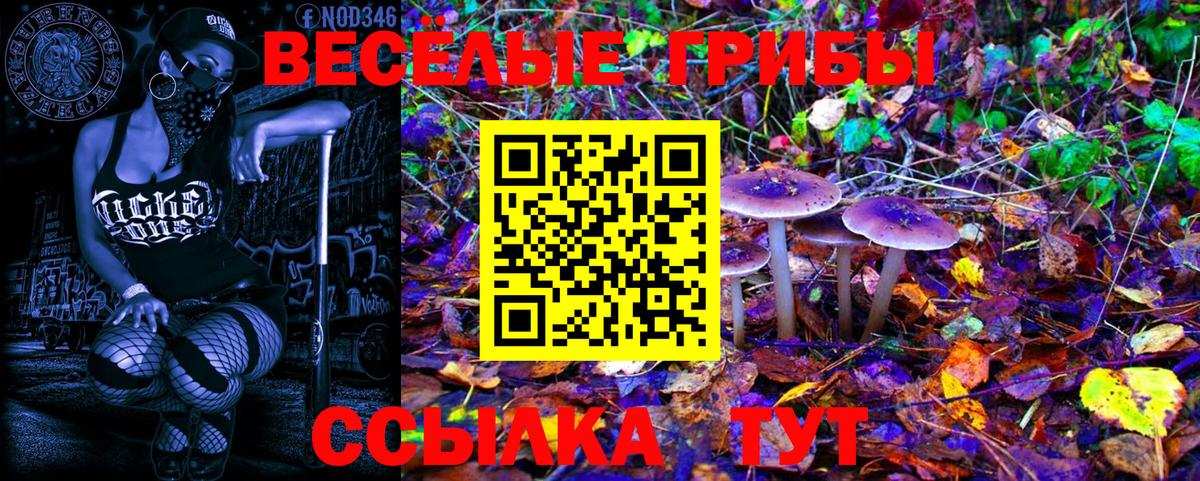 Горячий Ключ  Галлюциногенные грибы GOLDEN TEACHER  Галлюциногенные грибы Psilocybe  Вход с VPN 